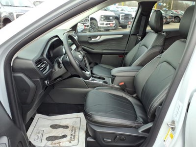 2026 Ford Escape Platinum